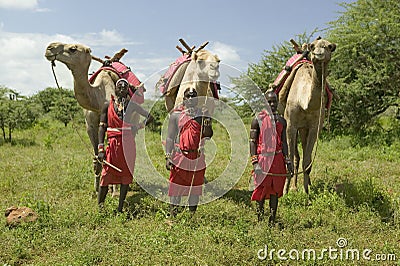 Three Masai Warriors in traditional red toga pose with their camels at Lewa Wildlife Conservancy in North Kenya, Africa Editorial Stock Photo