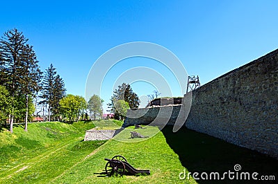 Three medieval cannons on green grass in front of the defensive wall. Ancient fortifications of the Zbarazh castle Editorial Stock Photo