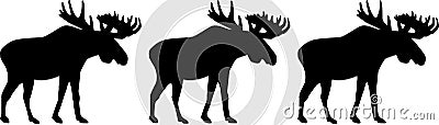 Three moose elk Vector Illustration