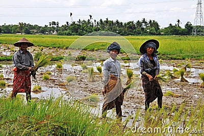 Three Myanmar woman working Editorial Stock Photo