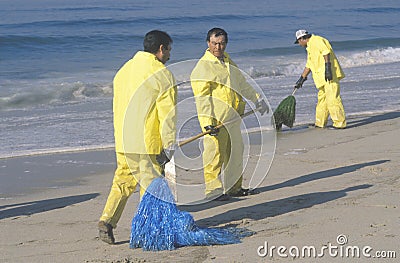 Three oil cleanup workers cleaning up the beach with adsorbent material after an oil spill covered Huntington Beach, California Editorial Stock Photo