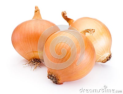 Three onion bulbs on white background Stock Photo