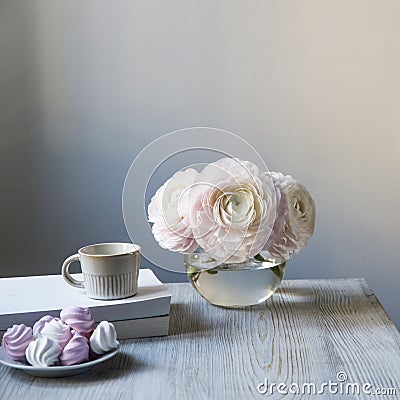 Three pale pink ranunculus Stock Photo