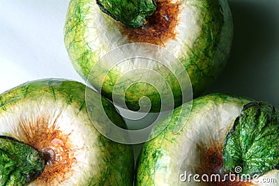 Three Papier Mache Apples (macro) Stock Photo