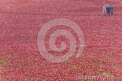 Three people standing in the sea of ceramic poppies Editorial Stock Photo