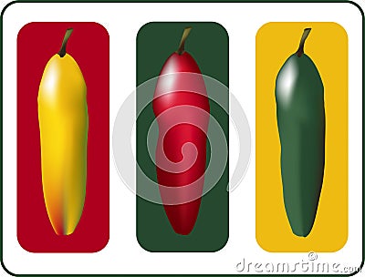 Three Peppers Vector Illustration