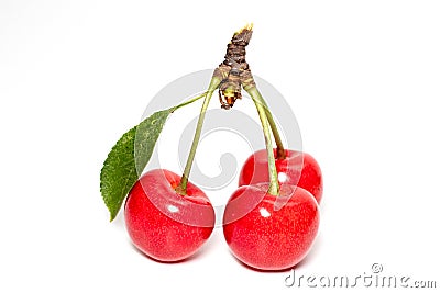 Three perfect sweet cherries with cherry leaf isolated on a white background Stock Photo