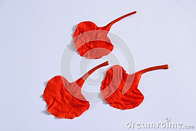 Three petals in the form of aligned by wind Stock Photo