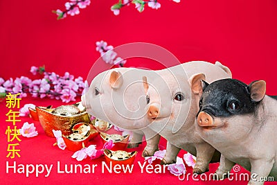 Three pig boar in red background with Happy Lunar New Year greeting text. Stock Photo