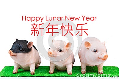 Three pig boar in white background with Happy Lunar New Year greeting text. Pig is 2019 Chinese New Year zodiac Stock Photo