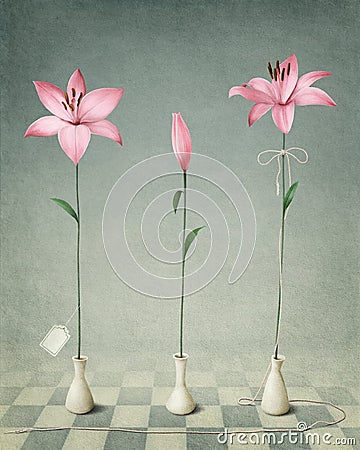 Three pink lily Stock Photo