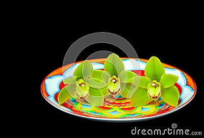 Three pistachio green cymbidium orchids presented on a colorful porcelain plate with dark background Stock Photo