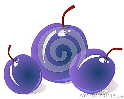 Three plums Vector Illustration