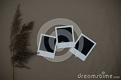 three Polaroid photos on craft paper. Photo card with space for your logo or text. Stock Photo