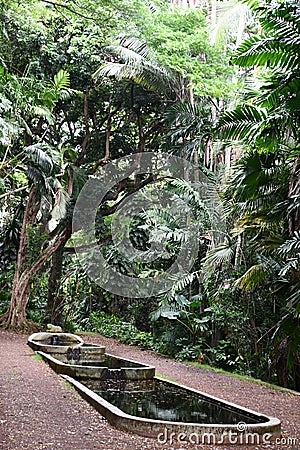 Three Pools at Allerton Garden - National Tropical Botanical Garden in Koloa on Kauai Island in Hawaii Stock Photo