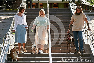 People with dogs going down on staircase in city Stock Photo