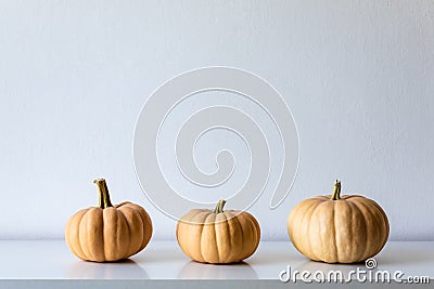 Three pumpkins on white shelf against white wall. Modern minimal autumn inspired room decoration. Stock Photo