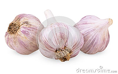 Three purple garlic Stock Photo