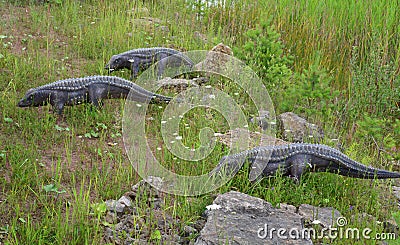 The three of reconstructions of Mesozoic reptiles and amphibians Editorial Stock Photo