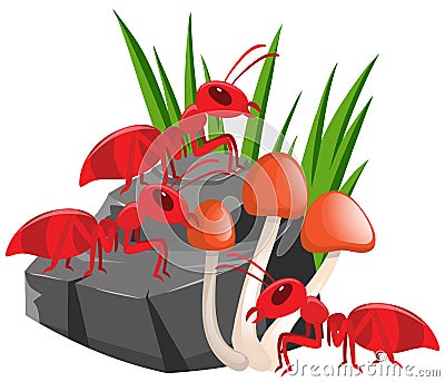 Three red ants on the rock Vector Illustration