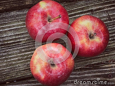 Red Delicious Apples Stock Photo