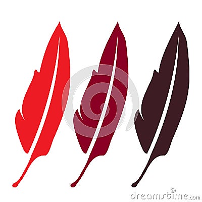 three red feather,,elegance literature writing symbol - plume, , beautiful silhouette quill,sing for zoo bird, Stock Photo