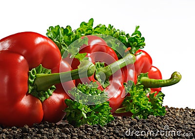 Three red paprika Stock Photo