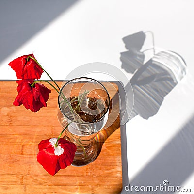 Three red poppies flowers in glass vase with water on white table and wooden background with contrast sun light and shadows close Stock Photo