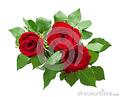 Three red rose flowers bouquet Stock Photo