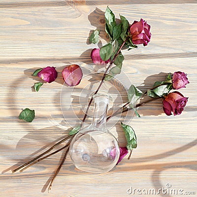 Three red roses, scattered flower petals, green leaves, glass round vase on wooden background top view closeup, floral arrangement Stock Photo