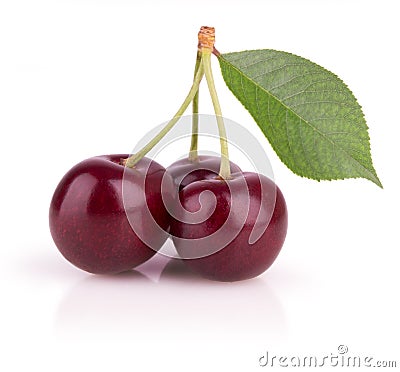 Three ripe cherries Stock Photo