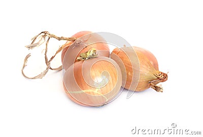 Three ripe golden onion isolated Stock Photo