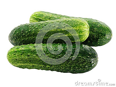 Three ripe green cucumbers Stock Photo
