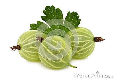 Three ripe green gooseberries with leaf (isolated) Stock Photo