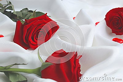 Three roses lie on a white satin fabric Stock Photo