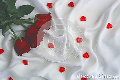 Three roses lie on a white satin fabric Stock Photo