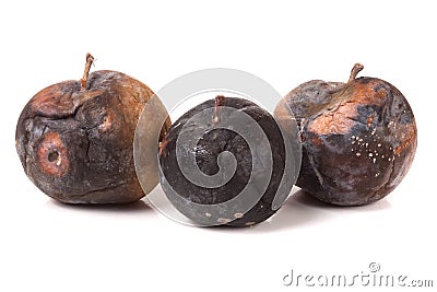 Three rotten apple isolated on a white background Stock Photo