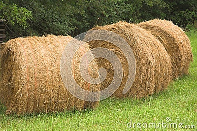Three Round Hay Bales Stock Photo