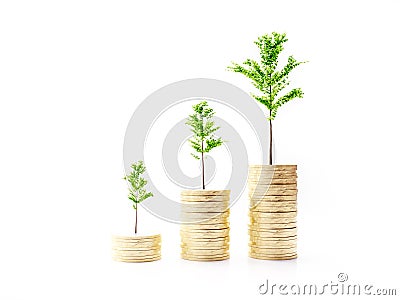 Three sapling trees growing on ascending coin stacks on white backgroud Stock Photo