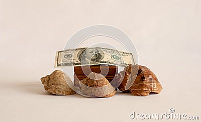 Three seashells are on the table with a casket. On the box is a hundred dollar bill Stock Photo