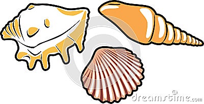 Three shells on white Vector Illustration