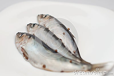 Three small herrings on the plate Stock Photo