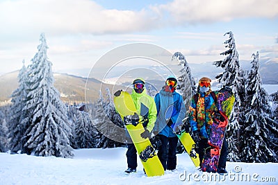 Three snowboarders posing at ski resort. Friends climbing to mountain top carrying their snowboards through forest for Stock Photo
