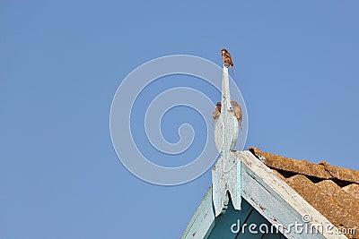 Three sparrows on roof decoration Stock Photo