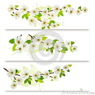 Three spring banners with blossoming tree brunch Vector Illustration