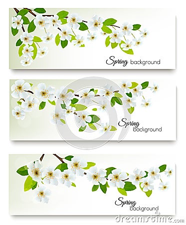 Three spring nature banners with blossom of cherry Vector Illustration