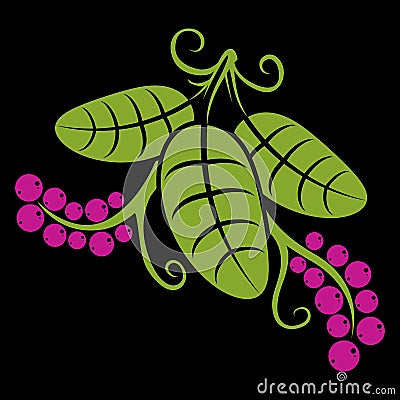 Three spring or summer leaves simple vector icon, nature and gar Vector Illustration