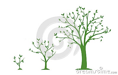 Three stages of growing tree - flat vector illustration Vector Illustration