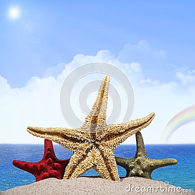 Three starfishes Stock Photo