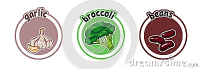 Three stickers with different vegetables. Garlic, broccoli and beans. Vector Illustration